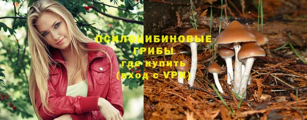 стафф Магас