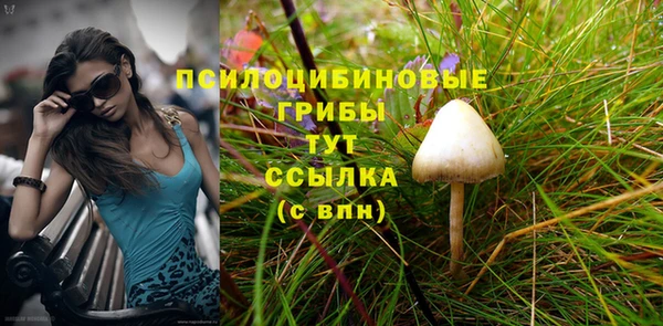 а пвп мука Армянск